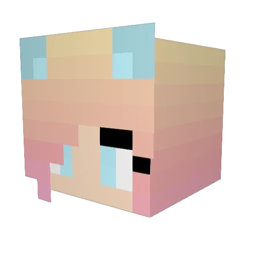 treepuncher2000 Minecraft avatar head, 3D render