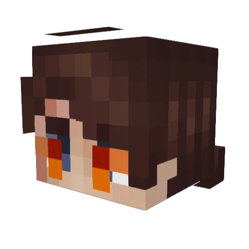 treepuncherr Minecraft avatar head, 3D render