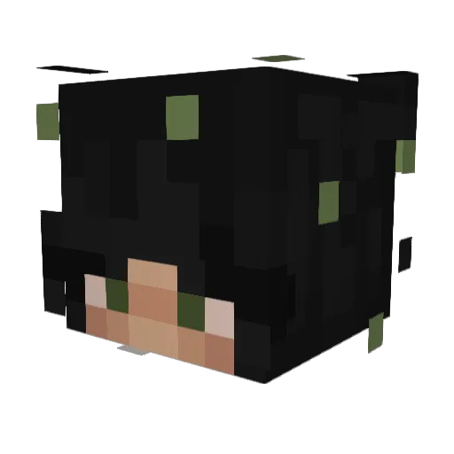 treeshley Minecraft avatar head, 3D render