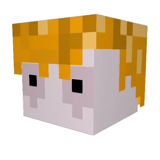 treestologs Minecraft avatar head, 3D render