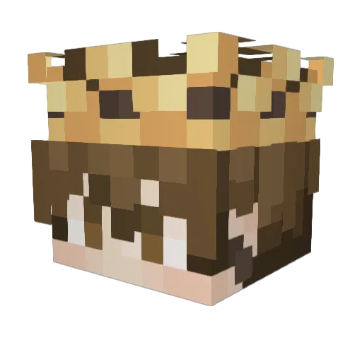 treezooks Minecraft avatar head, 3D render