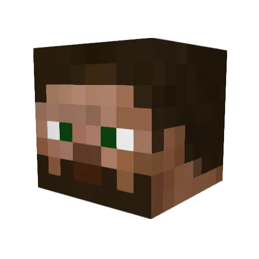 trej1 Minecraft avatar head, 3D render
