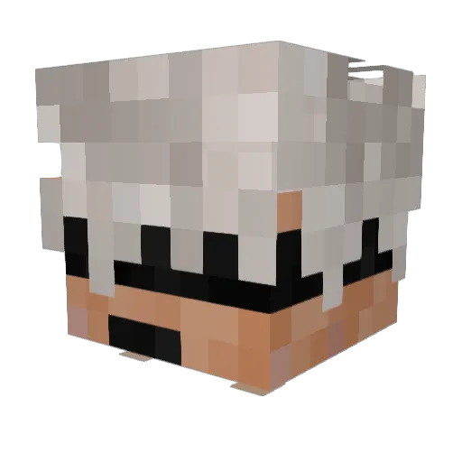 trellen Minecraft avatar head, 3D render