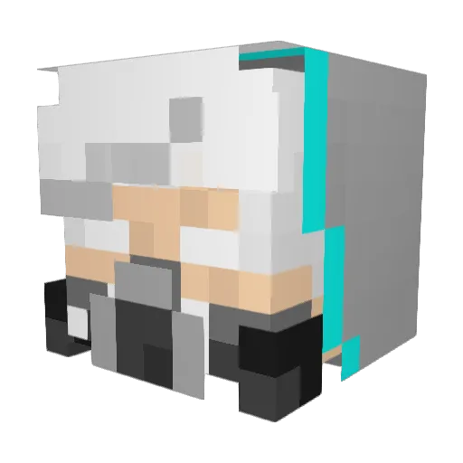 trent352 Minecraft avatar head, 3D render