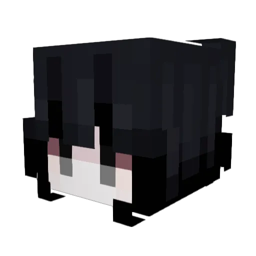 trespasser9953 Minecraft avatar head, 3D render