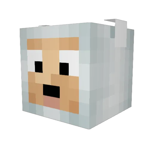 trevisty Minecraft avatar head, 3D render