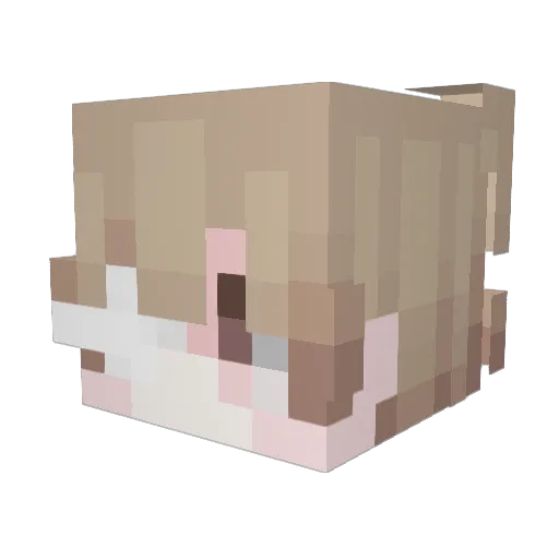 trevly Minecraft avatar head, 3D render
