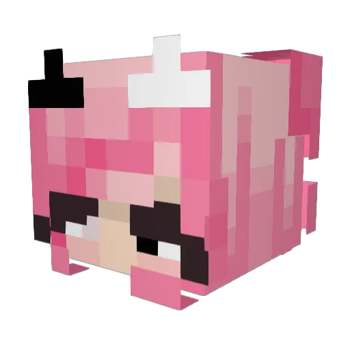 trexbear_ Minecraft avatar head, 3D render