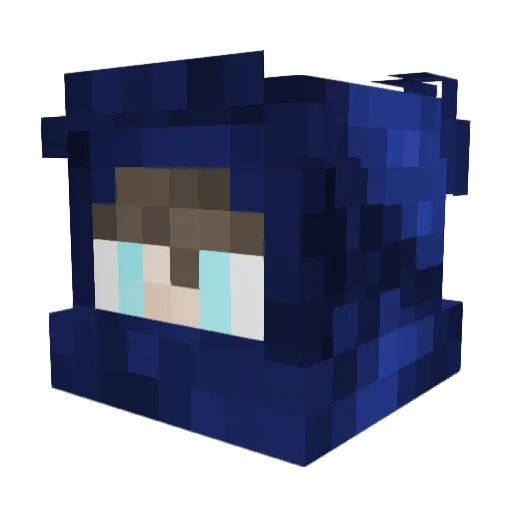 trexhunter4 Minecraft avatar head, 3D render