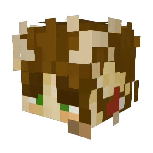 trexo40 Minecraft avatar head, 3D render