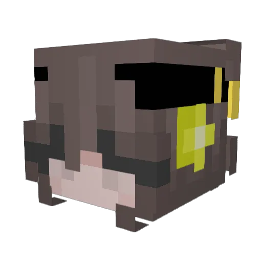 trezin Minecraft avatar head, 3D render