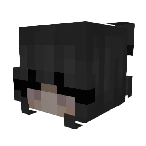 trgidost Minecraft avatar head, 3D render
