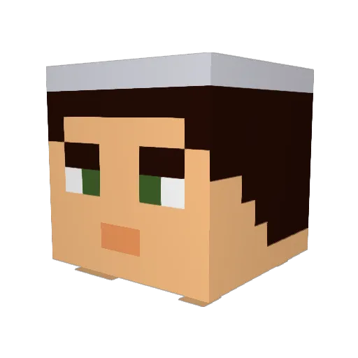 trialflam Minecraft avatar head, 3D render