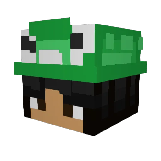 tricErintops_ Minecraft avatar head, 3D render