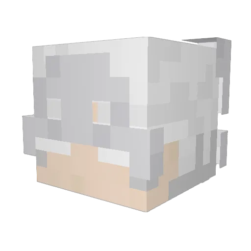 trick3d211 Minecraft avatar head, 3D render