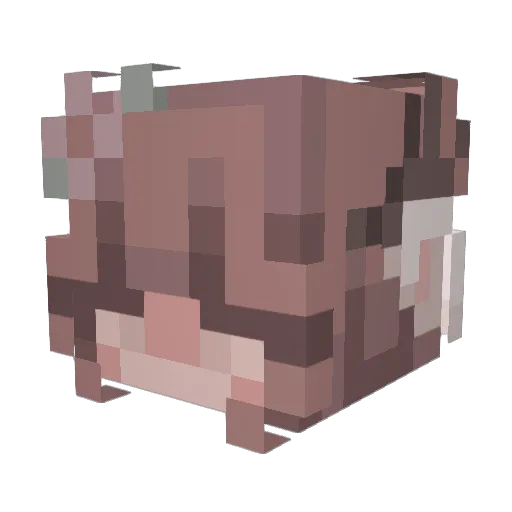 trickeryapple Minecraft avatar head, 3D render