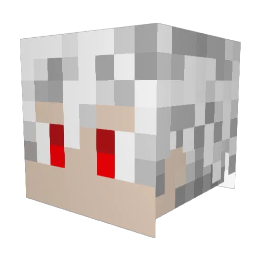 trickyboo Minecraft avatar head, 3D render