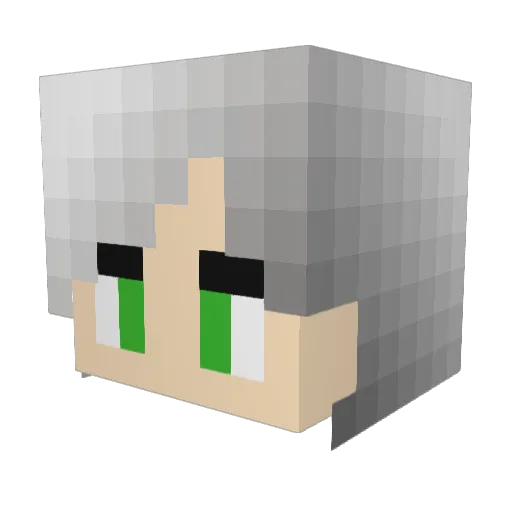 trickymcgee Minecraft avatar head, 3D render