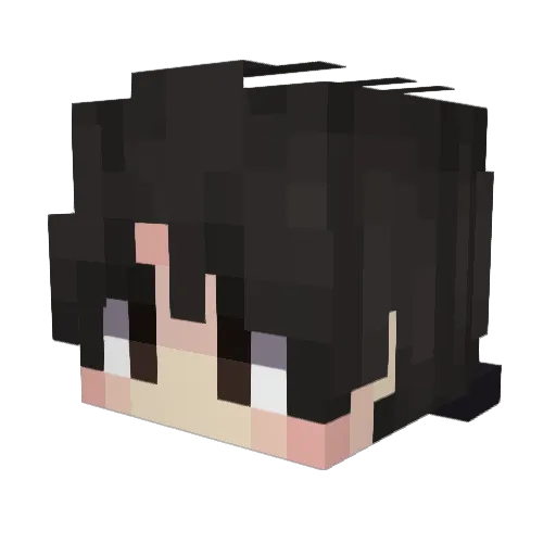 triedzy Minecraft avatar head, 3D render