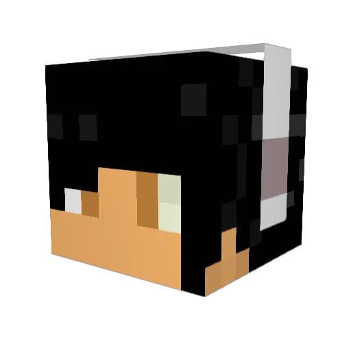 trifido1 Minecraft avatar head, 3D render
