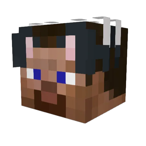 triganta Minecraft avatar head, 3D render