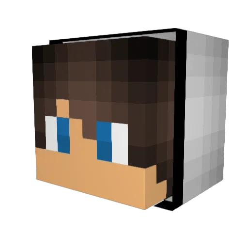trimbrisky3 Minecraft avatar head, 3D render