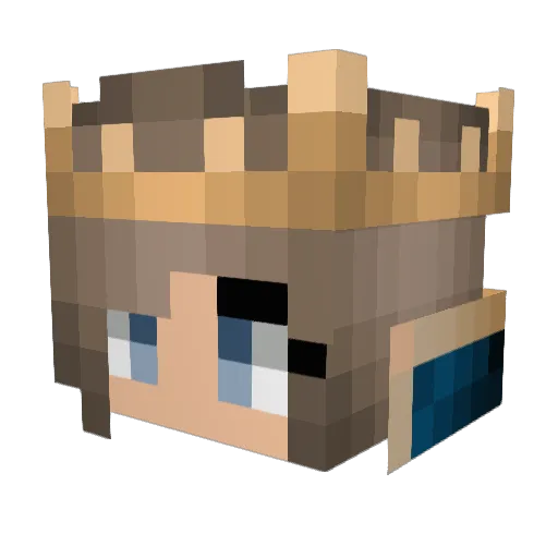 trinebug Minecraft avatar head, 3D render