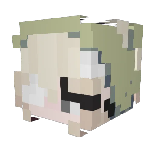 trinicore Minecraft avatar head, 3D render