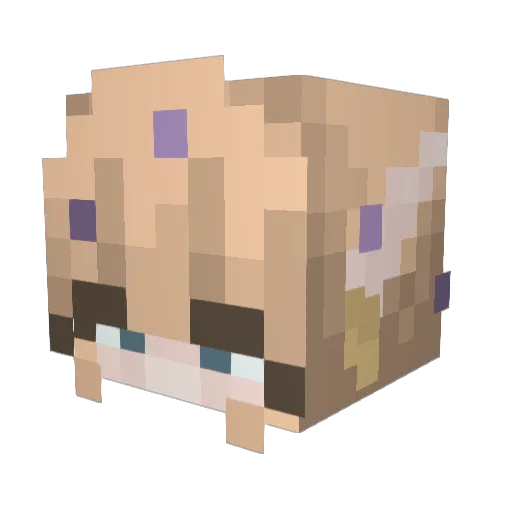 trinidadd Minecraft avatar head, 3D render