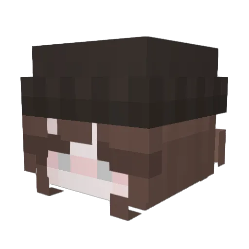 triniig Minecraft avatar head, 3D render