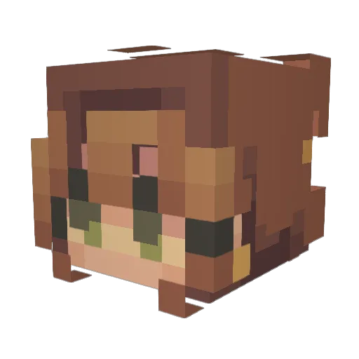 trinityblair Minecraft avatar head, 3D render