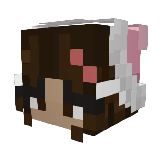 trinityiscooler Minecraft avatar head, 3D render