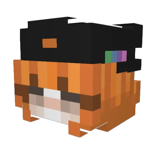 trinityrce Minecraft avatar head, 3D render