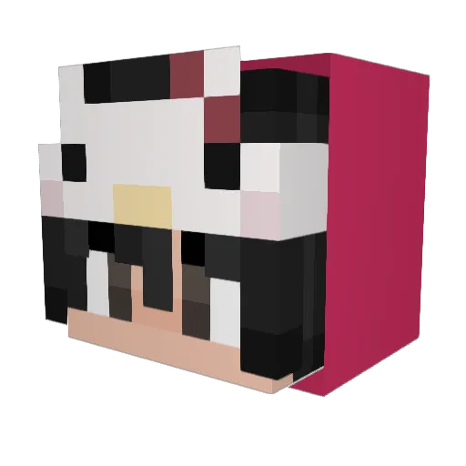 trinkFTP Minecraft avatar head, 3D render