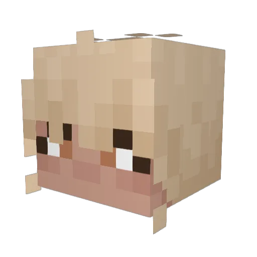 trinketobi Minecraft avatar head, 3D render