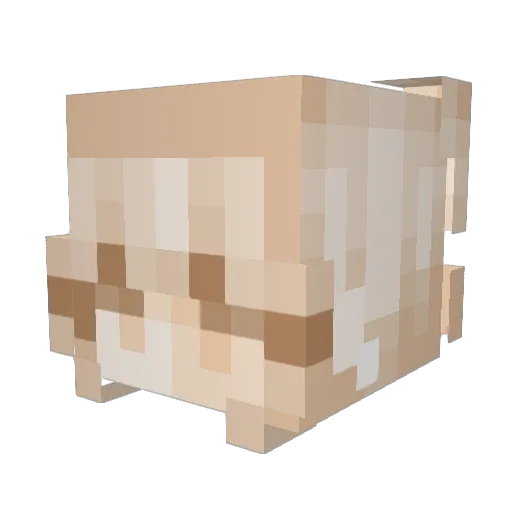 trintrin4407 Minecraft avatar head, 3D render
