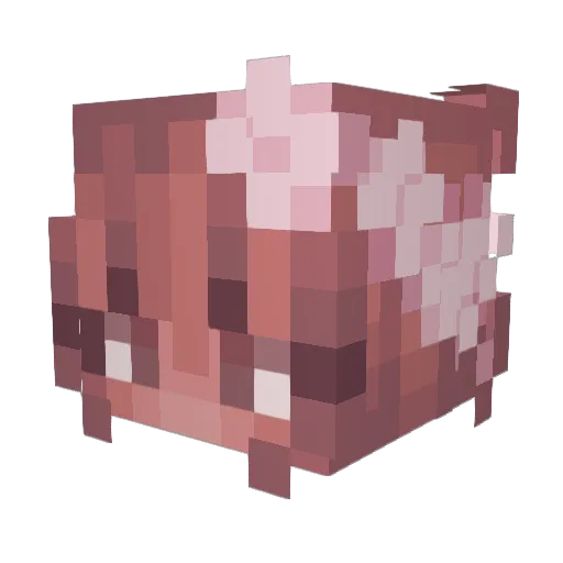 trinuwu Minecraft avatar head, 3D render