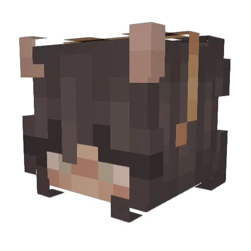 trinxo Minecraft avatar head, 3D render