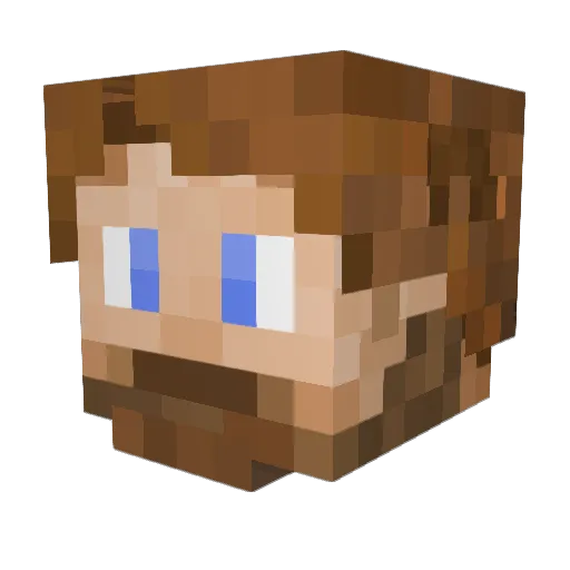 trippdawg1132 Minecraft avatar head, 3D render