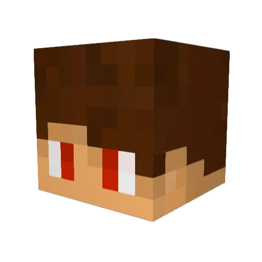 trippencapian Minecraft avatar head, 3D render
