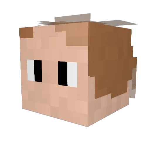 trippington24 Minecraft avatar head, 3D render