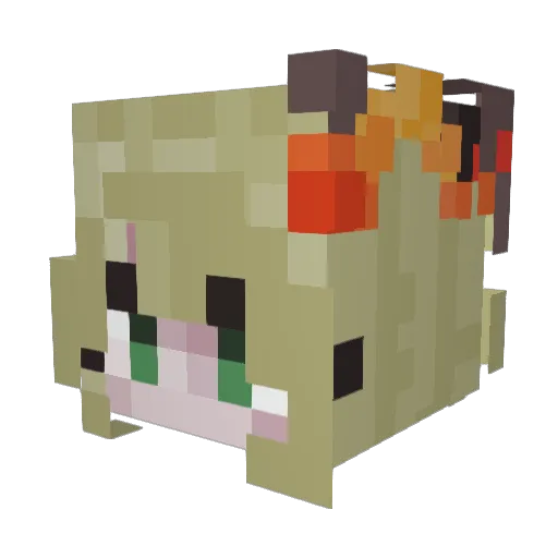 trippy_hayley Minecraft avatar head, 3D render