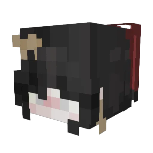 trippydove Minecraft avatar head, 3D render