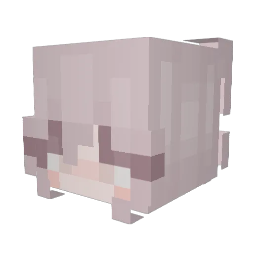 trippygemini Minecraft avatar head, 3D render