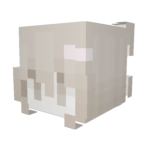 trisah Minecraft avatar head, 3D render