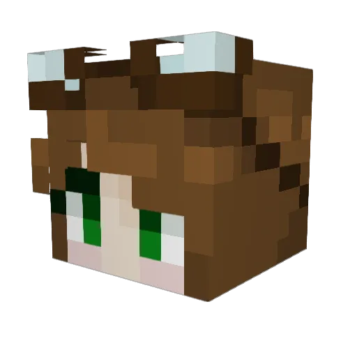 trishirdna Minecraft avatar head, 3D render