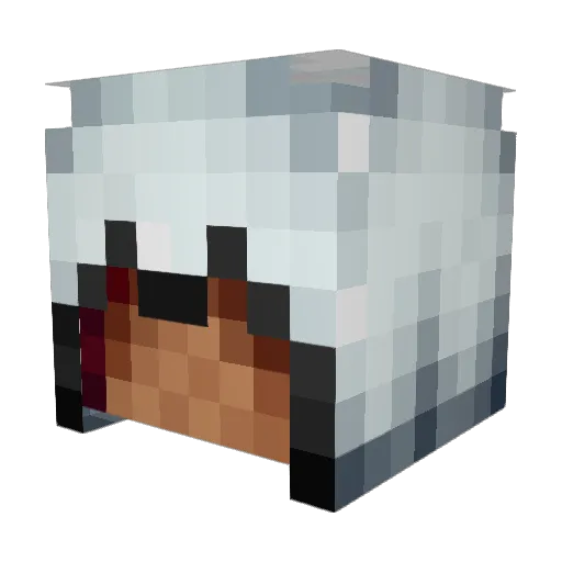 triskaideka_1213 Minecraft avatar head, 3D render