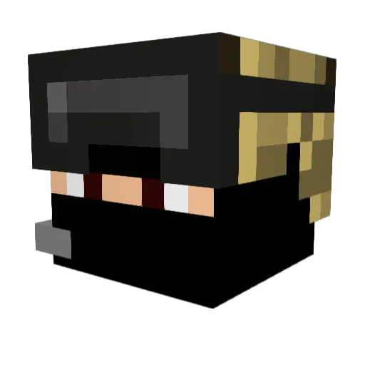 tristan293 Minecraft avatar head, 3D render