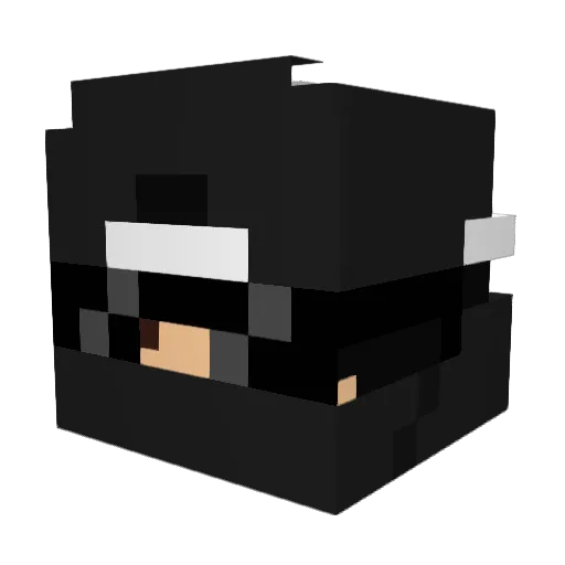 tristan840 Minecraft avatar head, 3D render