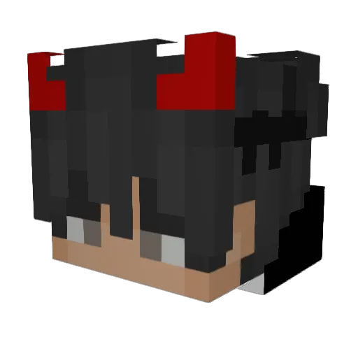tristanagent11 Minecraft avatar head, 3D render